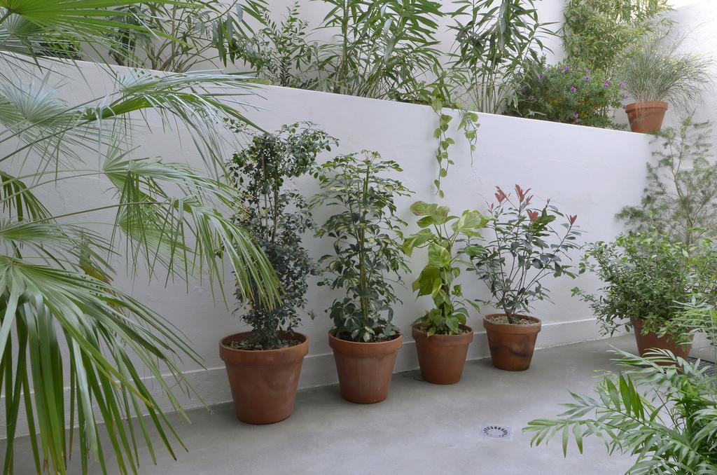 Art Gallery Apartment Lisbon Bilik gambar